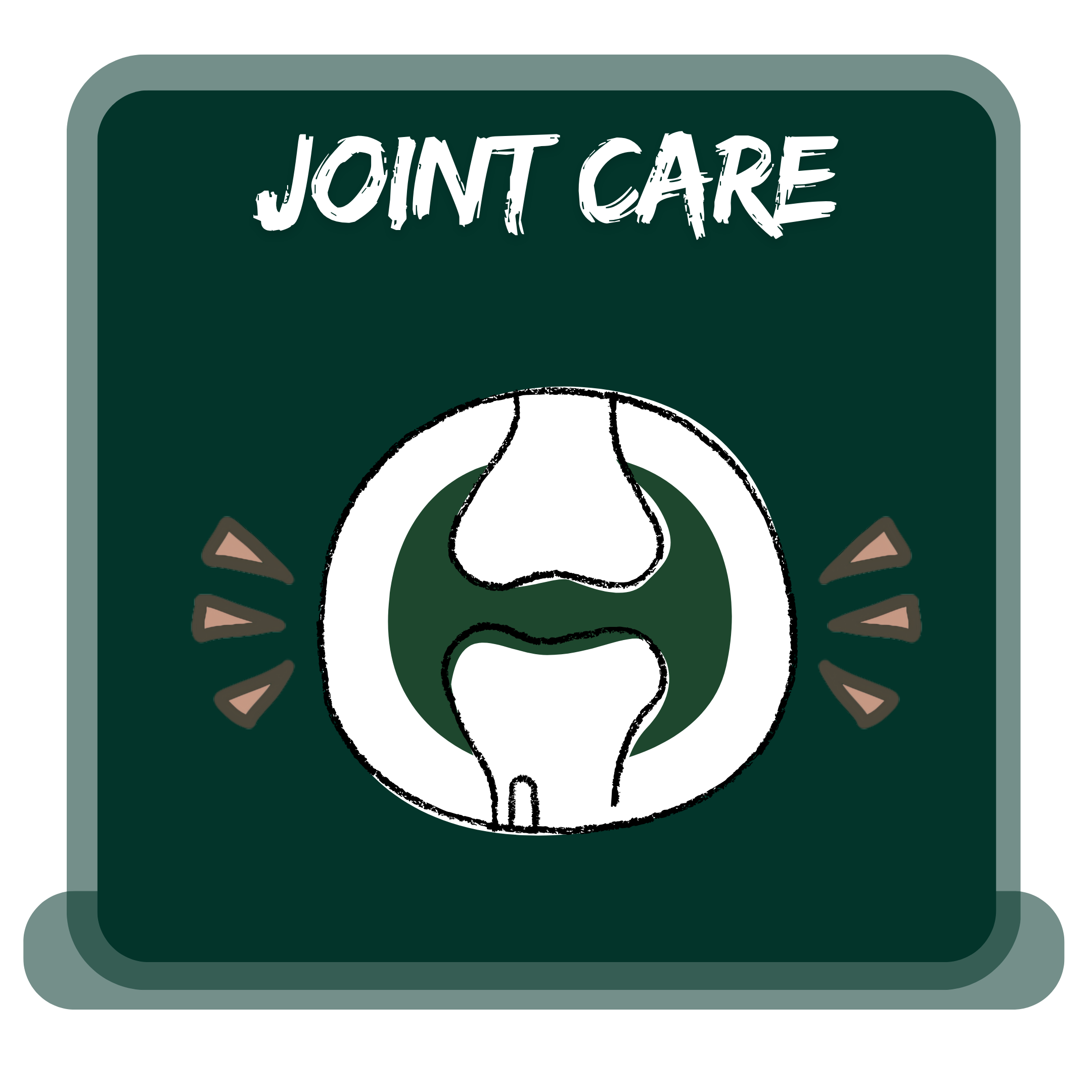 JOINT CARE